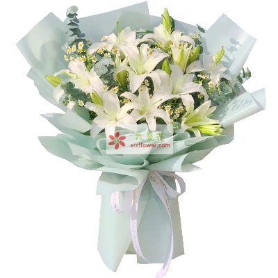 南京6支白色多头百合，温馨的祝福