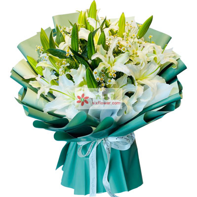 南京8支白色多头百合洋甘菊，如潮的思念